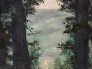 Bear’s Ground