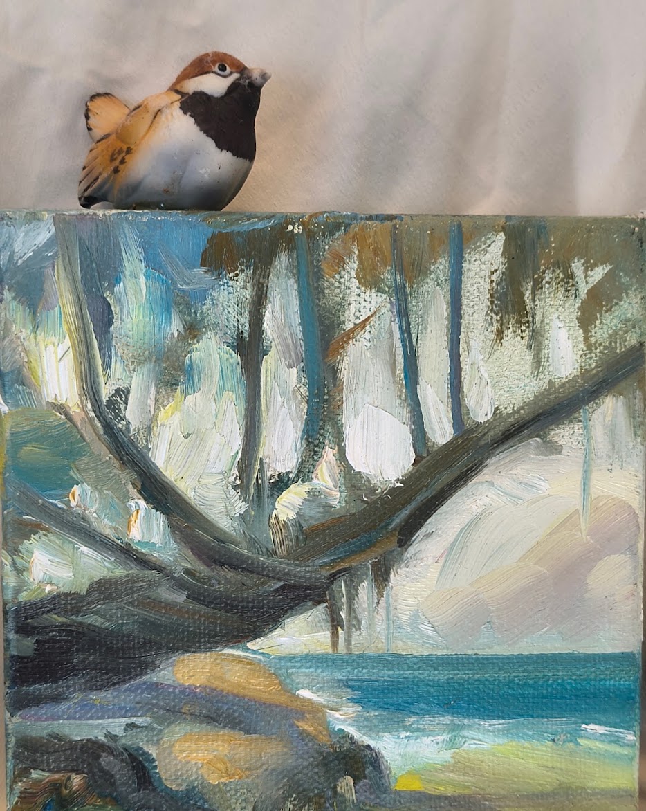 Coastal Bird
