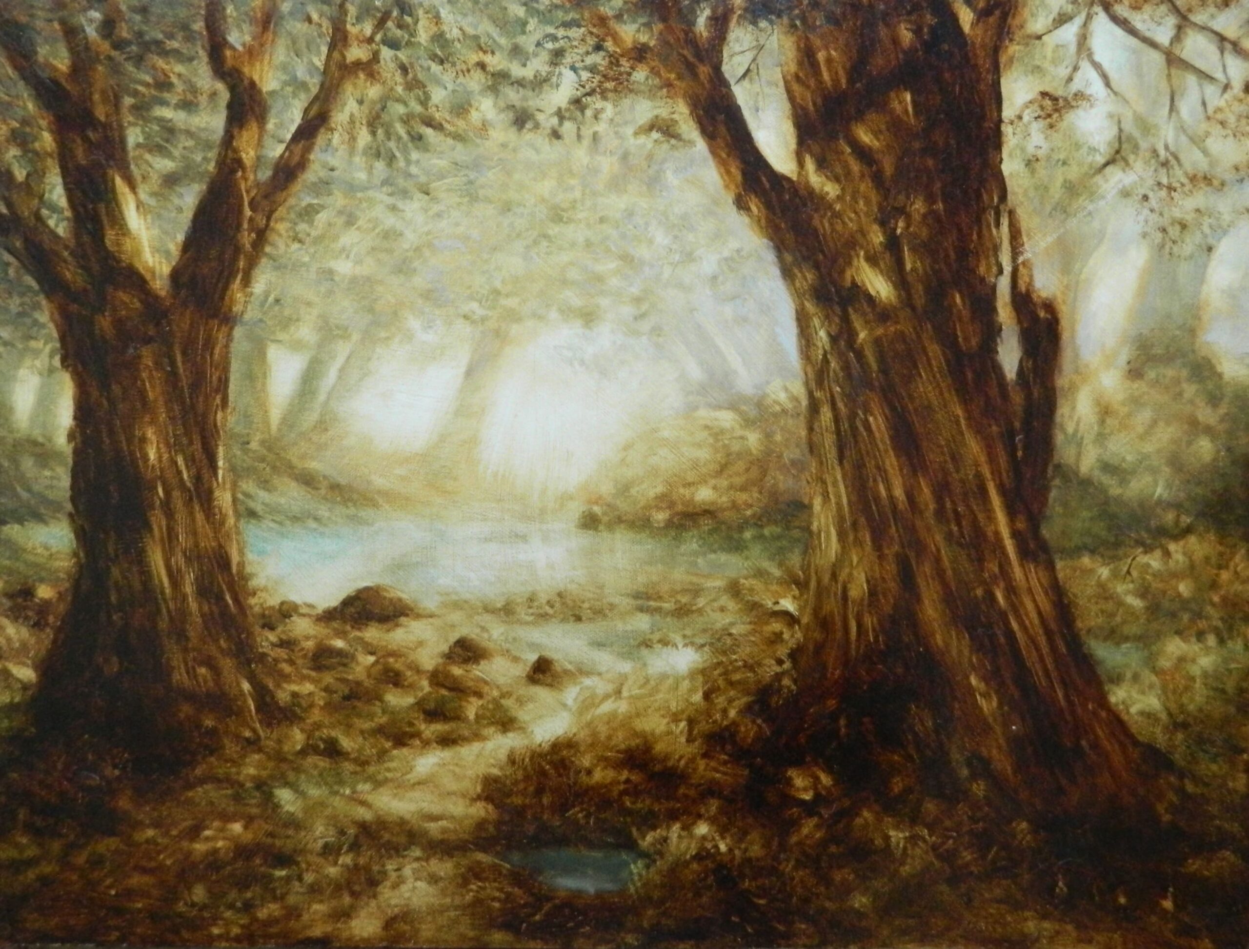 Fairy Woods