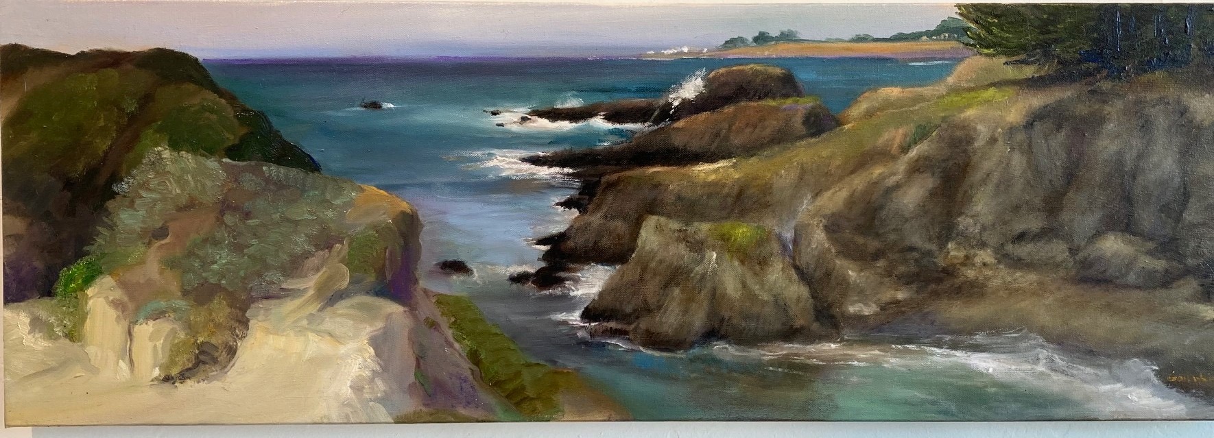 Mendocino Coast