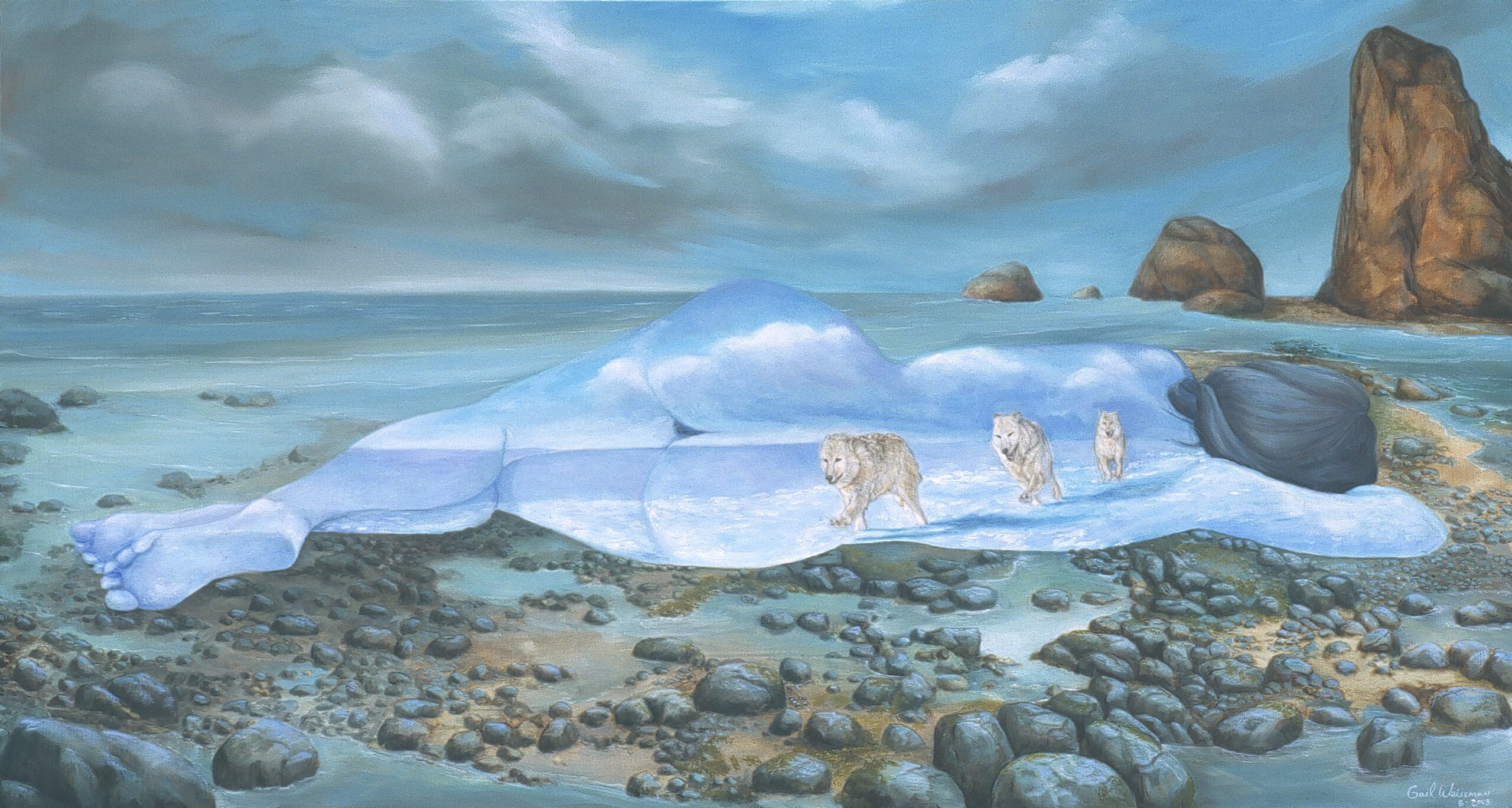 Sleep of the Wild